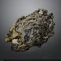 Organ Specimen With Hair Like Fibrous Textured Surface And Irregular Shape