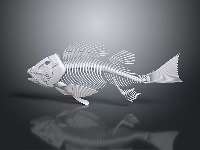 Metallic Silver Fish Skeleton Sculpture With Detailed Bone Structure And Reflective Surface 3d model