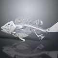 Metallic Silver Fish Skeleton Sculpture With Detailed Bone Structure And Reflective Surface 3d model