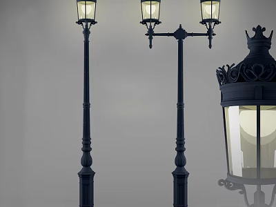 Traditional Outdoor Lights With Decorative Lamp Posts And Glass Shades 3d model