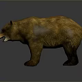 Realistic Brown Bear Game Movie Character With Detailed Fur And Standing Stance
