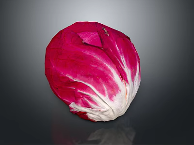 Fresh Radicchio Vegetable With Vibrant Red And White Leaves On Dark Background 3d model