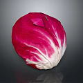 Fresh Radicchio Vegetable With Vibrant Red And White Leaves On Dark Background