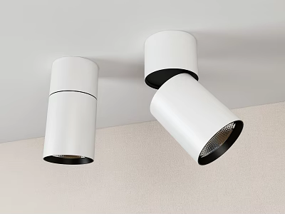 Modern White Ceiling Mounted Downlights and Adjustable Spotlights for Interior Lighting 3d model