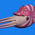 Vibrant Pink Spiral Shell Nautilus Aquatic Animal With White Spots And Black Eyes