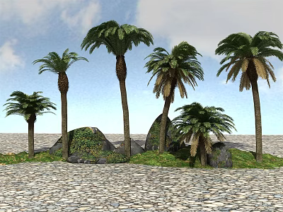 Tall Palm Trees Growing With Rocks On Gravel Ground Under Blue Sky And White Clouds 3d model