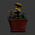 Beautiful Sunflowers In Red Pot With Green Leaves And Yellow Petals
