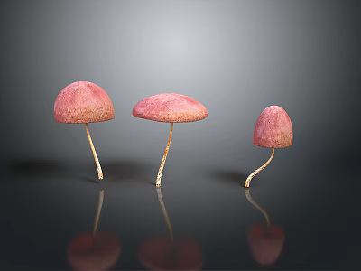 Three Pink Mushrooms With Yellow Stems On Gray Background And Reflections 3d model