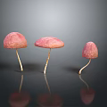 Three Pink Mushrooms With Yellow Stems On Gray Background And Reflections 3d model