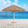 Thatched Beach Gazebo With Small Table Overlooking Ocean Blue Sky White Clouds 3d model