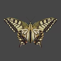 Vibrant Yellow And Black Butterfly With Detailed Wing Patterns And Antennae