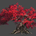 Vibrant Tree With Lush Orange Leaves Twisted Trunk And Visible Roots Against Black Background