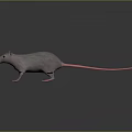Cartoon Mouse Animated Mouse Grey Mouse Anime Mouse Cartoon Character 3d model