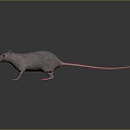 Cartoon Mouse Animated Mouse Mouse Mouse Mouse Mouse Grey Mouse Anime Mouse Cartoon Character 3d model