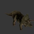 Realistic Triceratops Dinosaur Model With Large Horns Frill And Open Mouth