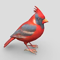 Red and Blue Crested Cardinal Bird with Orange Beak and Claws on Gray Background
