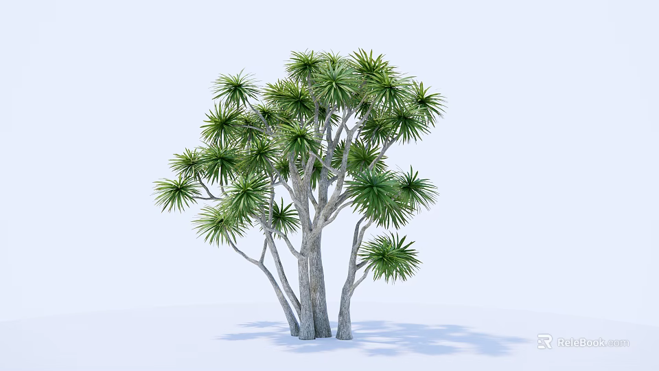Lush Arbor with Multiple Trunks and Green Leaves in Light Background 3d model 