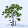 The Modern Tree 3d model