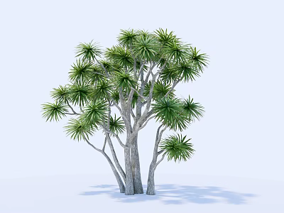 Lush Arbor with Multiple Trunks and Green Leaves in Light Background 3d model