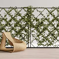Lush Green Vines Growing On Lattice Wall With Woven Rattan Chair And Wooden Floor