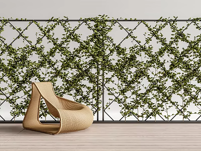Lush Green Vines Growing On Lattice Wall With Woven Rattan Chair And Wooden Floor 3d model