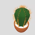 Green Cactus Plant with Yellow Spines in Brown Pot and White Pebbles