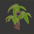 Three Palm Trees With Twisted Trunks And Green Leaves 3D Rendered Decorative Plant