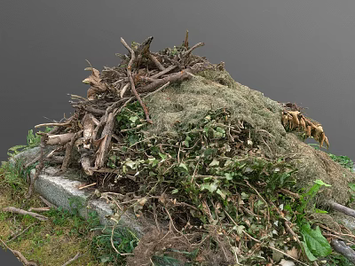 Green Plants Covering Mound With Twigs Moss Leaves And Stones Base 3d model