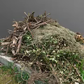 Green Plants Covering Mound With Twigs Moss Leaves And Stones Base
