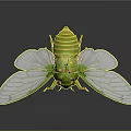 Modern cicada shell golden cicada 3d model