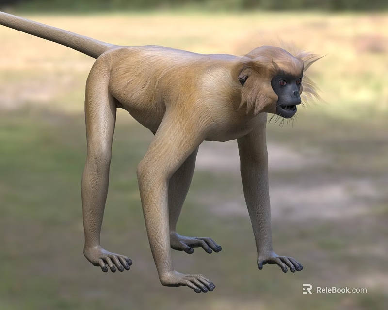 Realistic 3D Monkey Standing In Natural Surroundings 3d model 