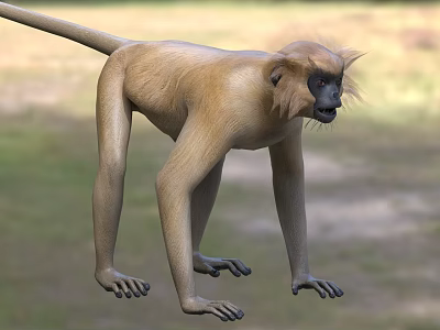 Realistic 3D Monkey Standing In Natural Surroundings 3d model