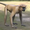 Realistic 3D Monkey Standing In Natural Surroundings 3d model