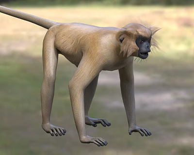 Realistic 3D Monkey Standing In Natural Surroundings 3d model