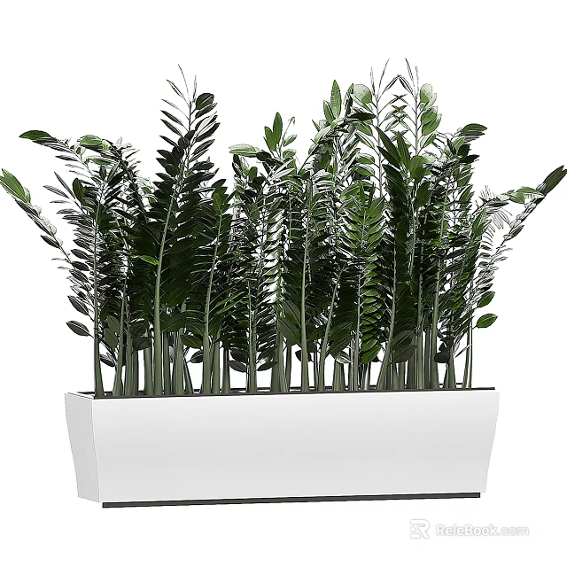 Modern Garden Decor With White Planter And Tall Green Leafy Plants 3d model 