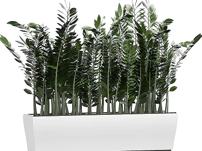 Modern Garden Decor With White Planter And Tall Green Leafy Plants 3d model
