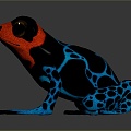 Frog Frog Frog Poison Frog Game Frog Reptile Cold Blooded Animal Reptile Reptile 3d model