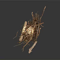 Dry Arbor Tree Branches with Natural Rough Texture for DIY Craft Use 3d model