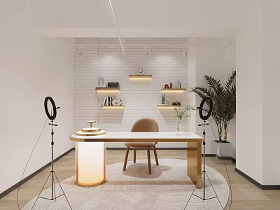 Modern Public Office Space With White Brick Wall Shelves Plant Ring Lights And Round Rug 3d model