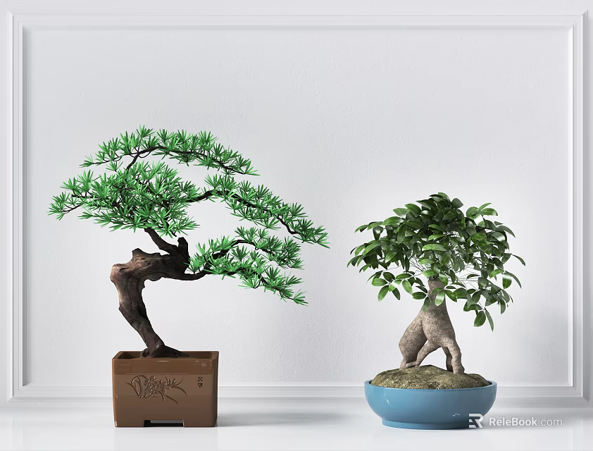 Decorative Bonsai Plants With Green Foliage In Brown Square And Blue Round Pots 3d model 