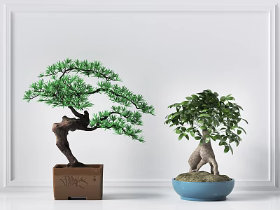 Decorative Bonsai Plants With Green Foliage In Brown Square And Blue Round Pots 3d model