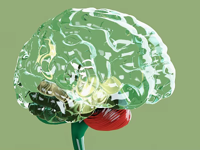 Medical Device Transparent Brain Model With Illuminated Internal Structures For Neurological Education 3d model