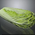 Fresh Green Cabbage With Shiny Surface And Crisp Leaves On Black Background