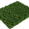 Fresh Green Grass Turf With Thick Blades And Natural Healthy Look