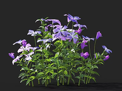 Vibrant Flower Plants With Purple White Blooms And Green Leaves 3d model