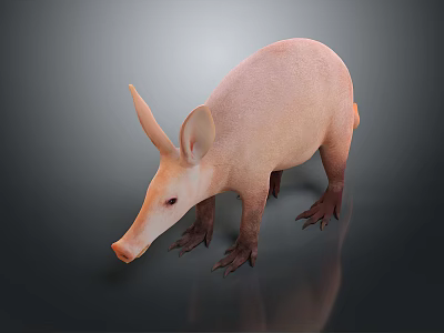 3D Rendered Aardvark Game Movie Character With Pink Skin Long Snout Large Ears Standing Pose 3d model