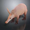 3D Rendered Aardvark Game Movie Character With Pink Skin Long Snout Large Ears Standing Pose
