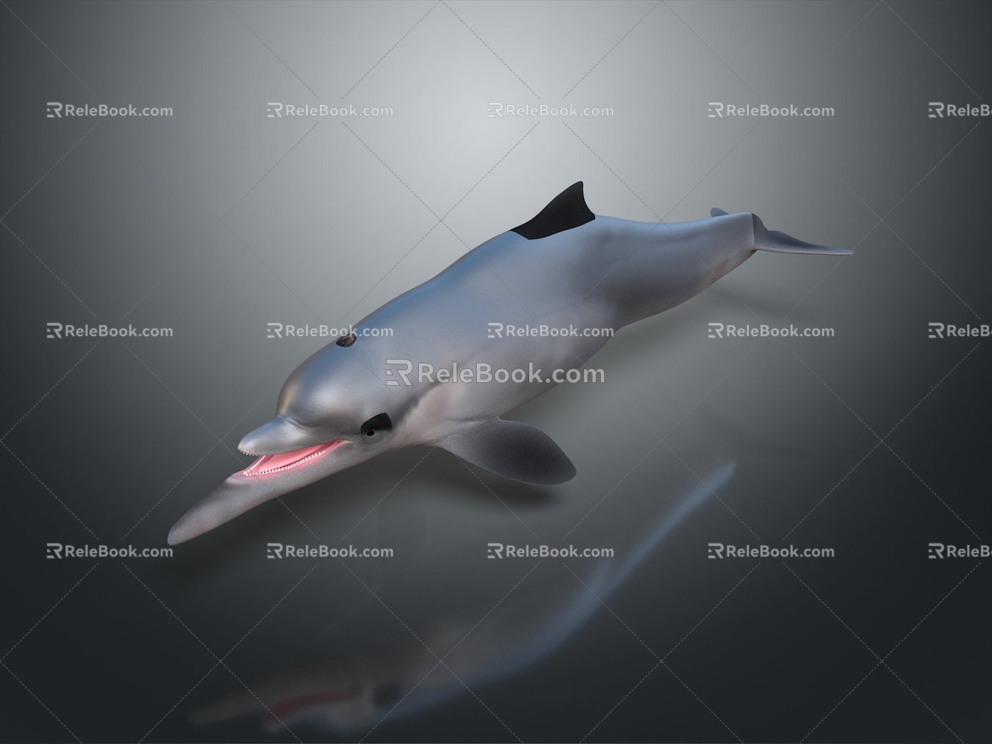 Spotting Dolphin Dolphin Cartoon Dolphin Animation Dolphin Animation Dolphin Animation Character Game Character 3d model