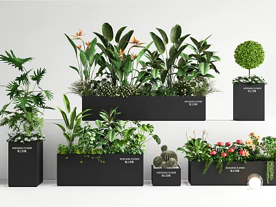 Various Decorative Potted Bonsai Plants and Greenery in Black Pots Arrangement 3d model