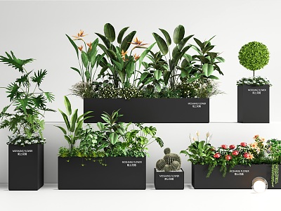 Plant combination flower box outside green plant flower box green plant potted plant flowers and plants pile flower pool flower bed model